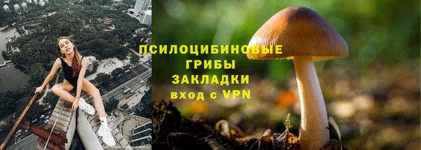 2c-b Алексин