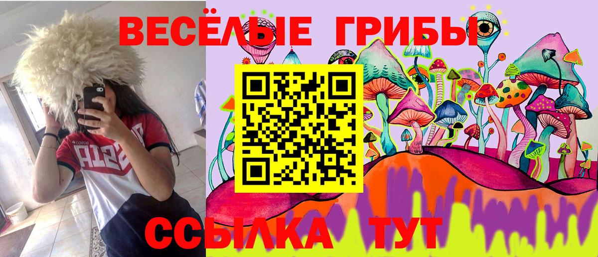 Галлюциногенные грибы ЛСД Владивосток