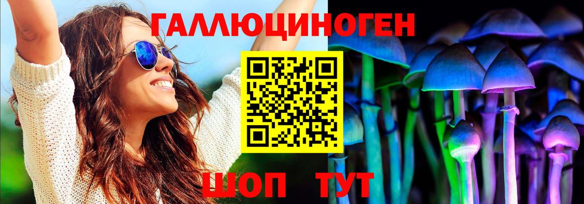 Владивосток  Псилоцибиновые грибы MAGIC MUSHROOMS  Вход с VPN 
