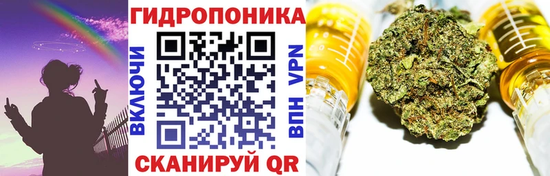 Канабис сатива Владивосток